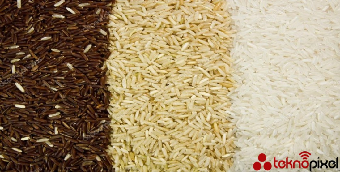 Çin, Genetiği Değiştirilmiş Bir Pirinç Türü Üretti